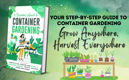 A Beginner’s Guide To Container Gardening