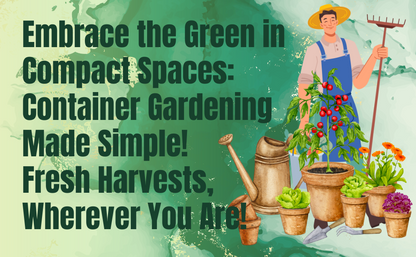 A Beginner’s Guide To Container Gardening