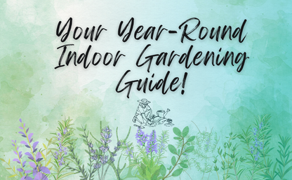 The Indoor Herb Garden: A Beginner’s Guide to Cultivating Your Own Herbs Year Round