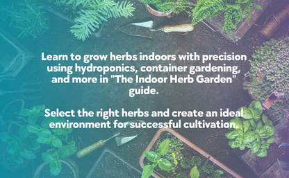 The Indoor Herb Garden: A Beginner’s Guide to Cultivating Your Own Herbs Year Round