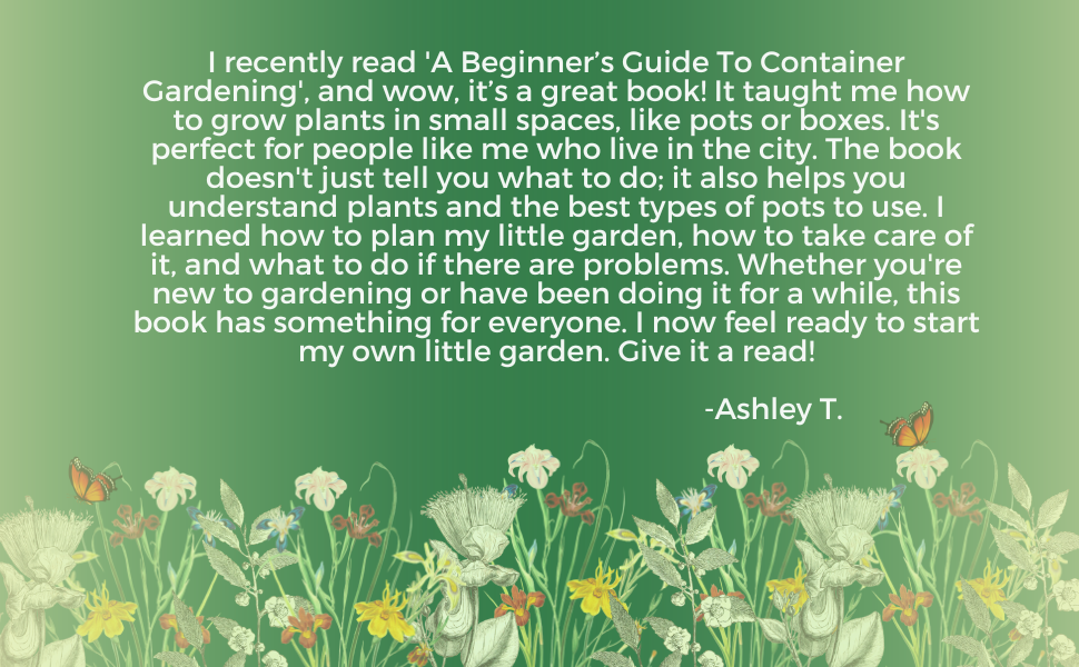 A Beginner’s Guide To Container Gardening