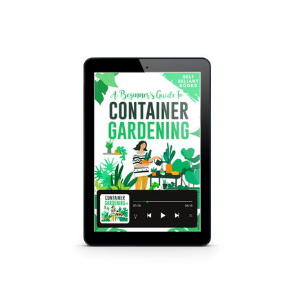 A Beginner’s Guide To Container Gardening