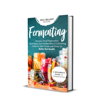 Fermenting for Beginners: Recipes, Techniques, and Probiotic Benefits for Gut Health